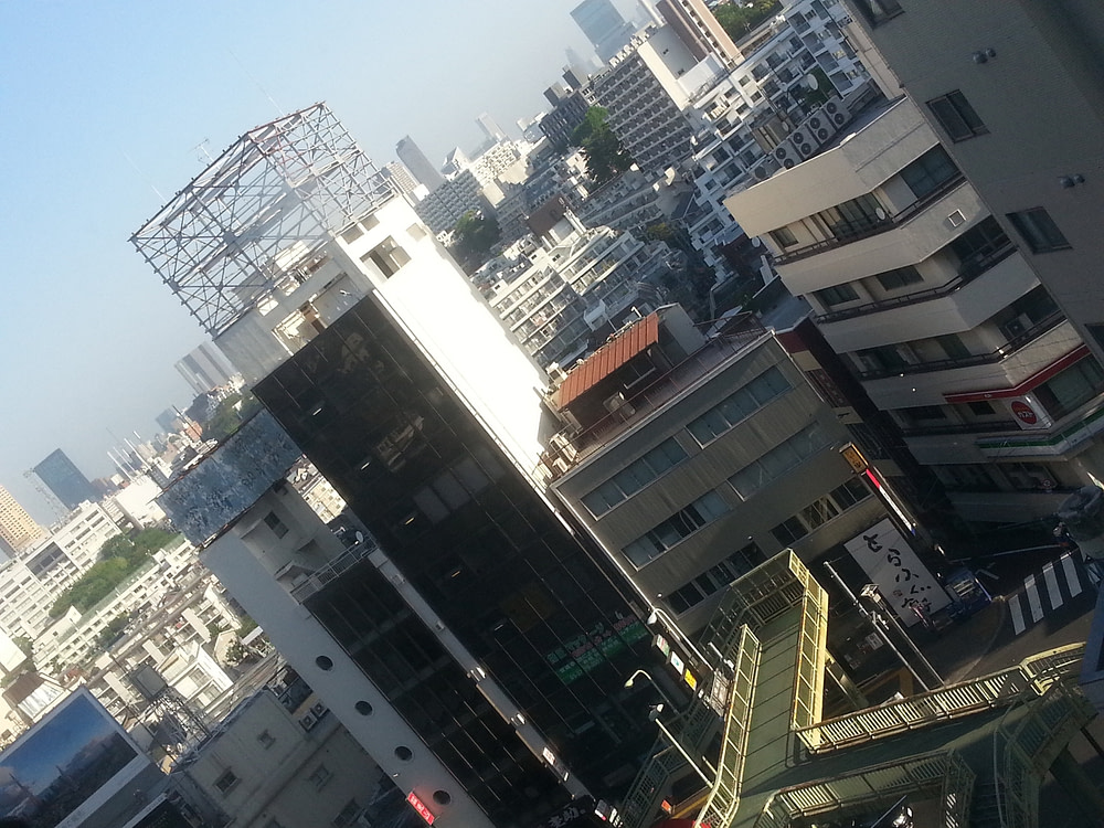 Tokyo, from hotel window
